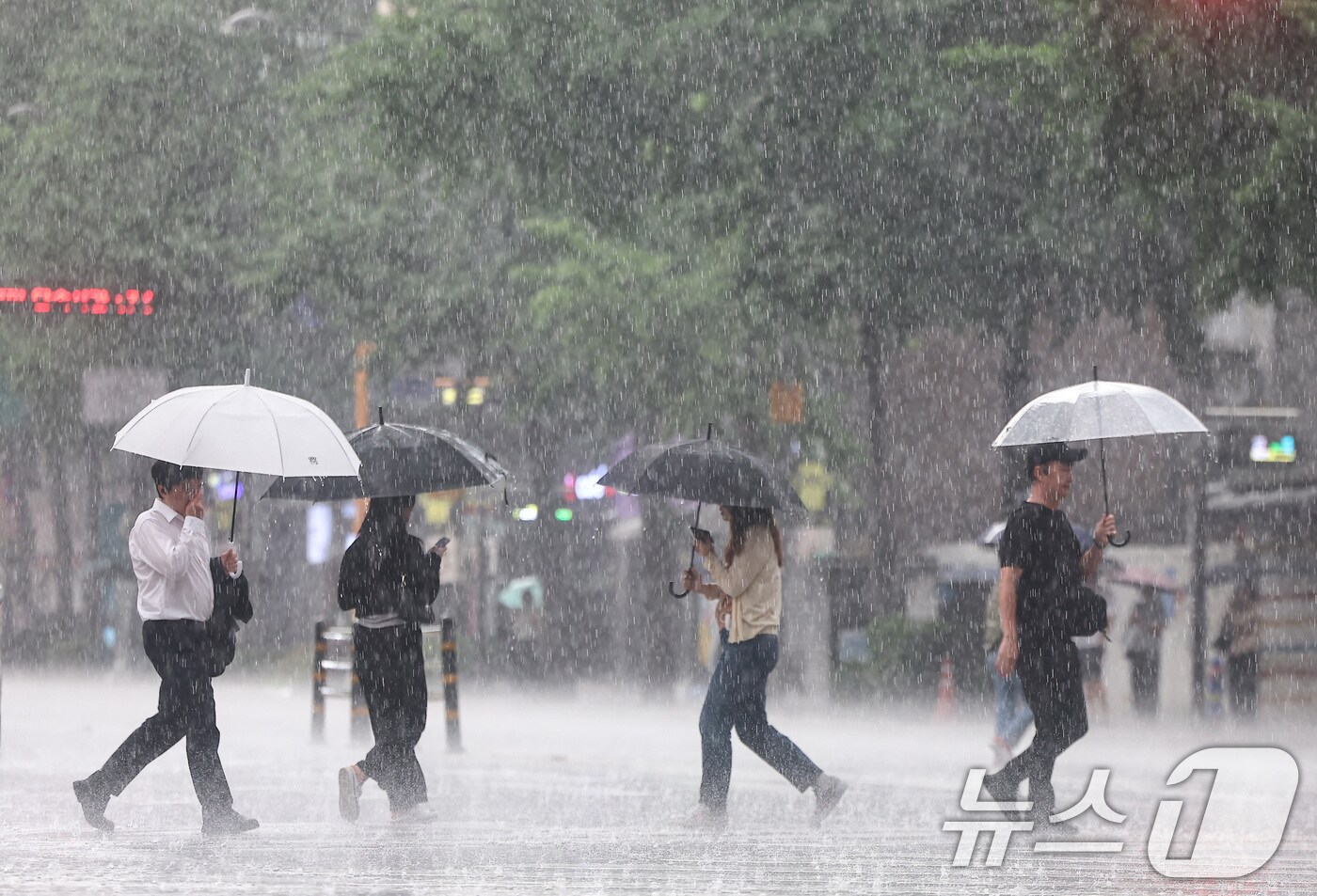 여름비 ⓒ News1 김도우 기자