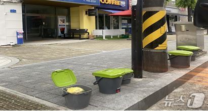 가정에서 배출된 음식물 쓰레기가 담긴 수거용기 모습.(마포구 제공)