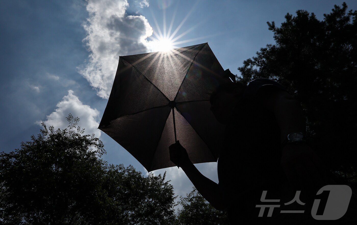폭염이 이어지고 있는 9일 서울 성동구 서울숲에서 한 시민이 양산을 쓰고 산책을 하고 있다. 2025.7.9/뉴스1 ⓒ News1 김도우 기자