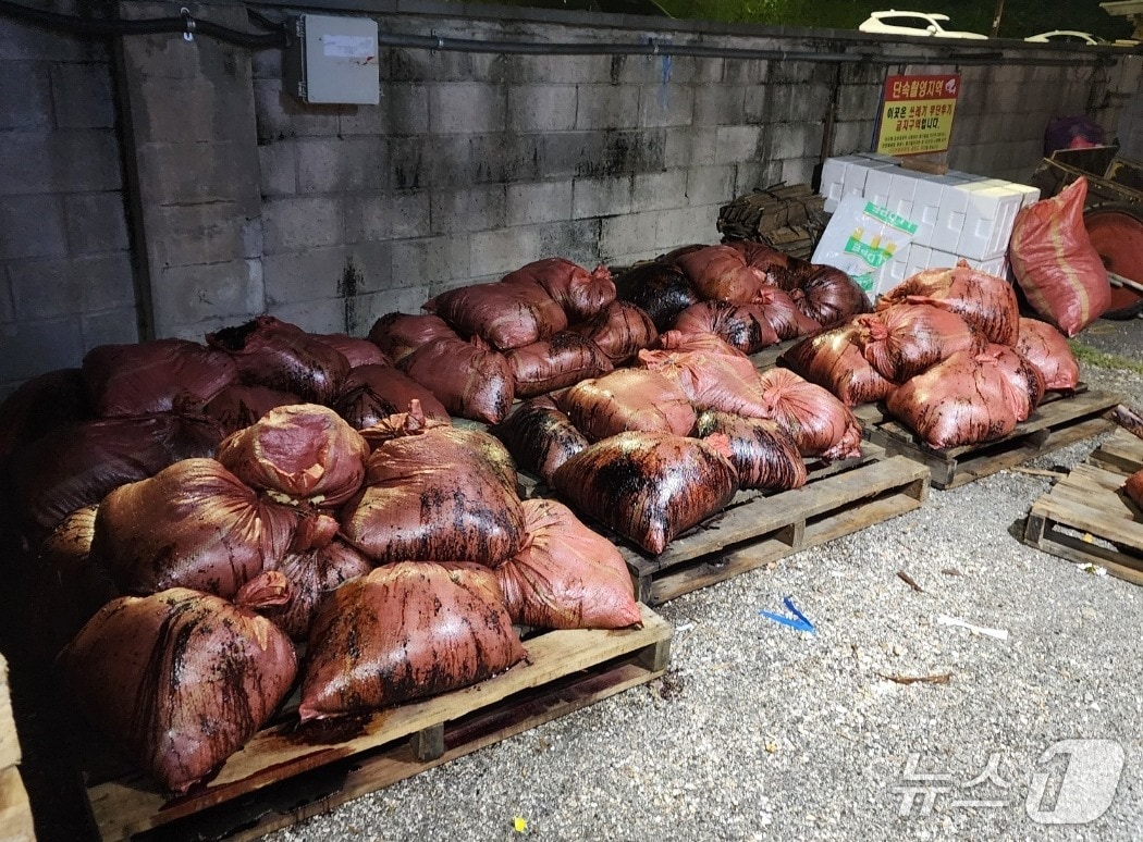 울산 동구에 고래 창자, 뼈 등이 마대 자루에 담겨 불법 배출된 모습.(전국민주연합노동조합 제공. 재판매 및 DB금지)/뉴스1