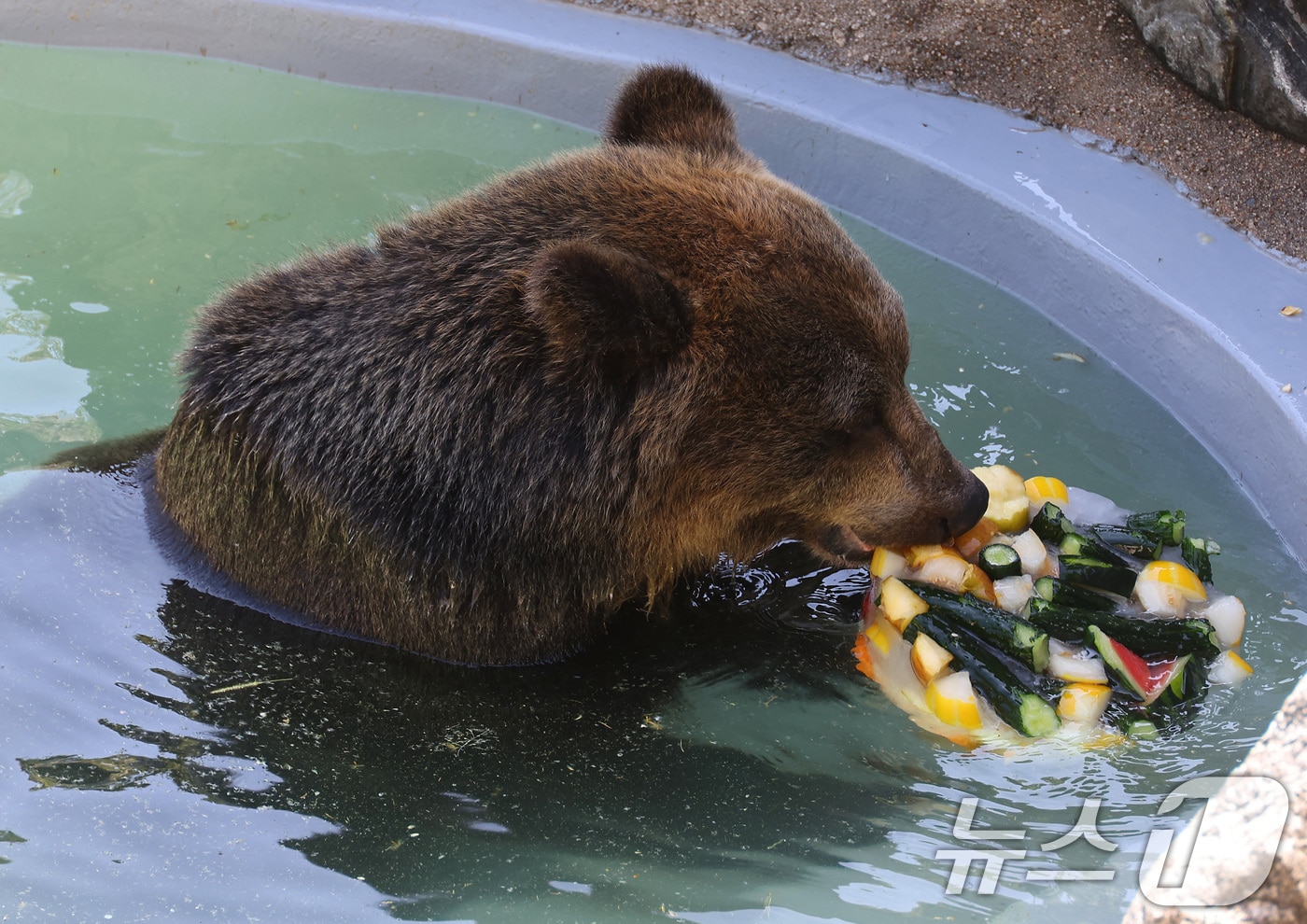 11일 대구기상청에 따르면 구미의 낮 최고기온이 35.1도까지 오르는 등 대구와 경북 일부 지역에 무더운 날씨를 보였다. ⓒ News1 DB