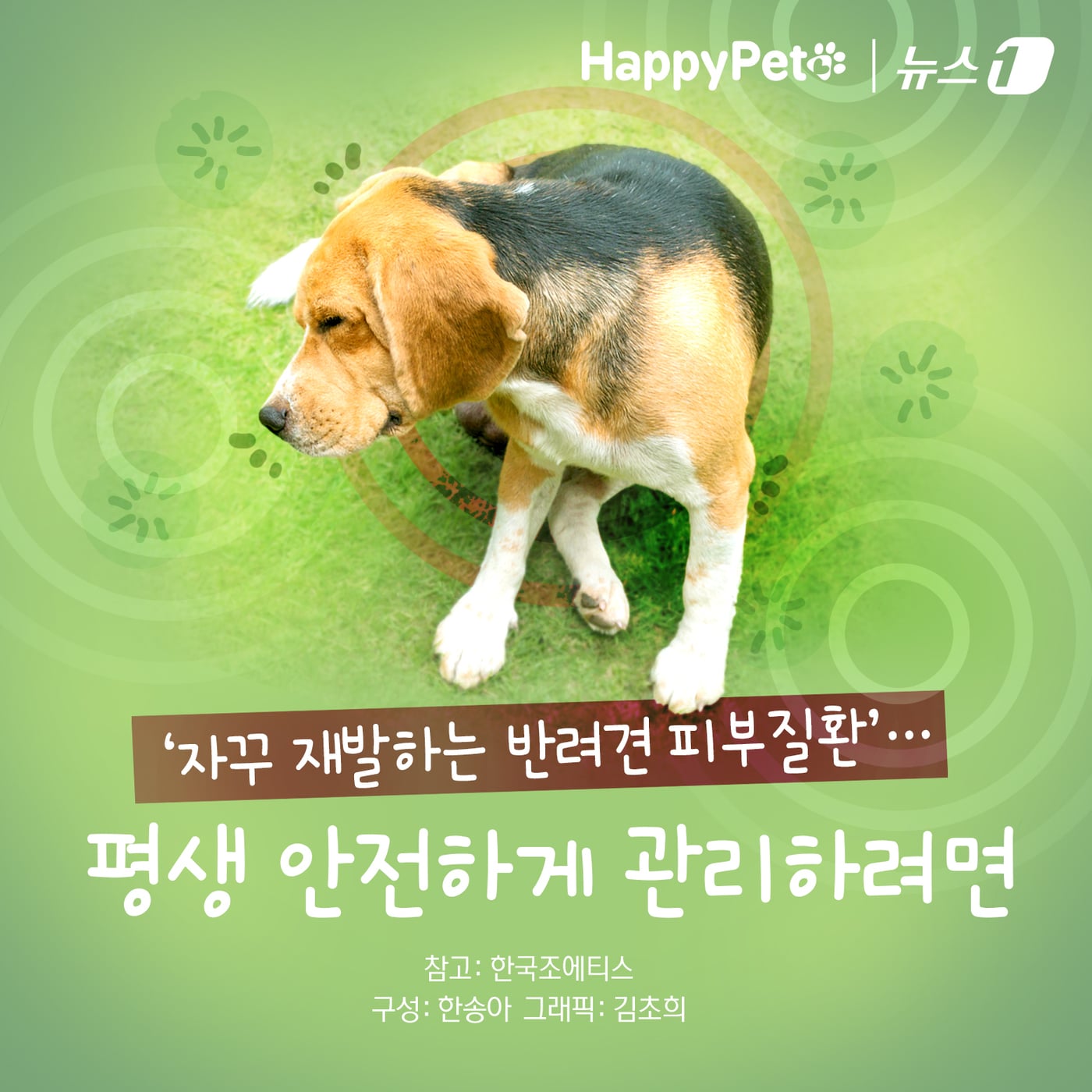 ⓒ News1 김초희 디자이너