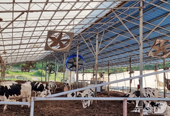 전북 임실군이 여름철을 앞두고 축산농가의 자연 재난 피해를 사전 예방하기 위해 축산시설에 대한 사전 안전점검을 실시한다.&#40;임실군제공. 재판매 및 DB금지&#41;2025.5.30/뉴스1