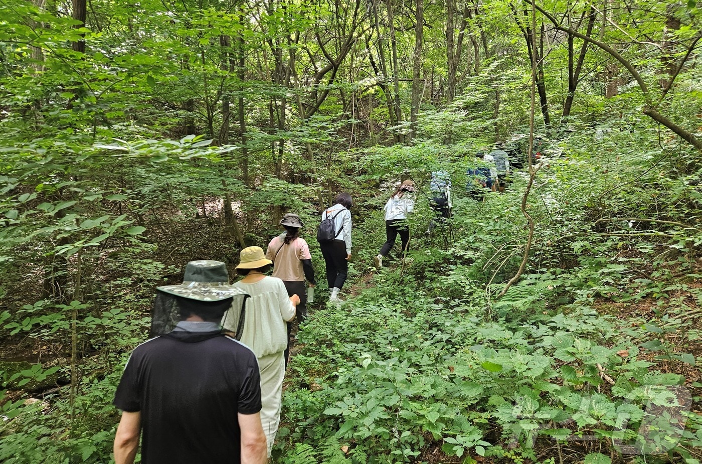 경북 초·중등 교사 60여명이 오는 7일까지 국립백두대간수목원에서 직무연수 교육 프로그램에 참가한다.(백두대간수목원 제공, 재판매 및 DB 금지)ⓒ News1 김대벽기자