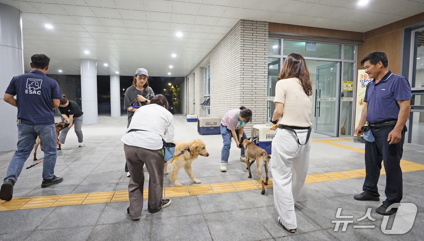 전북 임실군이 반려동물 산업을 이끌 전문 인재 양성을 위한 교육과정을 운영하고 있다.(임실군제공. 재판매 및 DB금지)2025.8.10/뉴스1