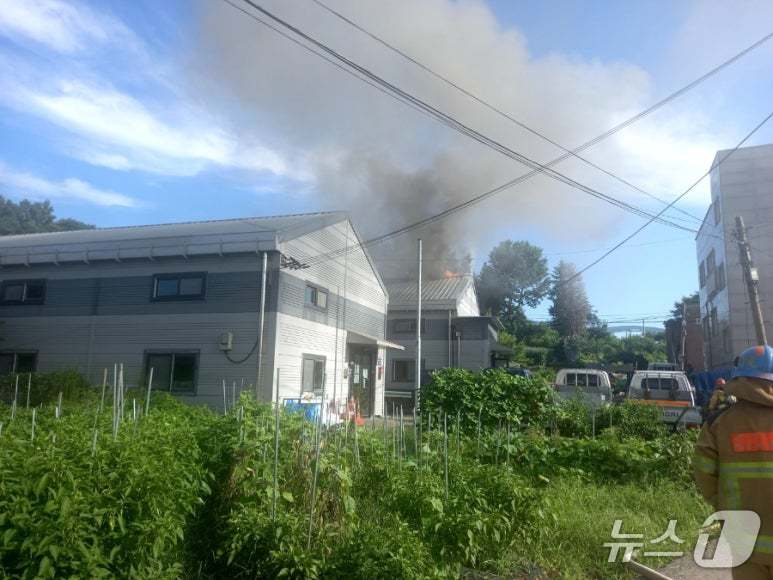 (경기소방재난본부 제공. 재판매 및 DB금지)