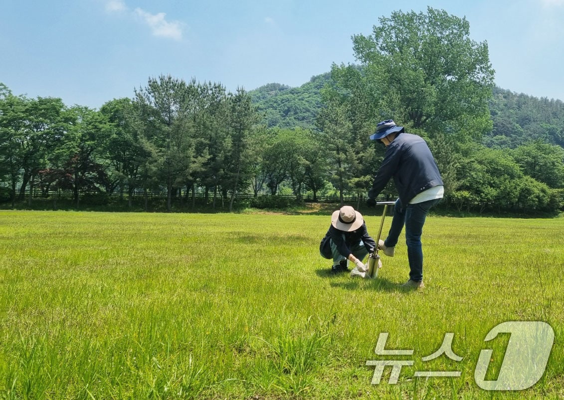 광주 파크골프장 잔류 농약 검사.(광주시 제공. 재판매 및 DB 금지) 