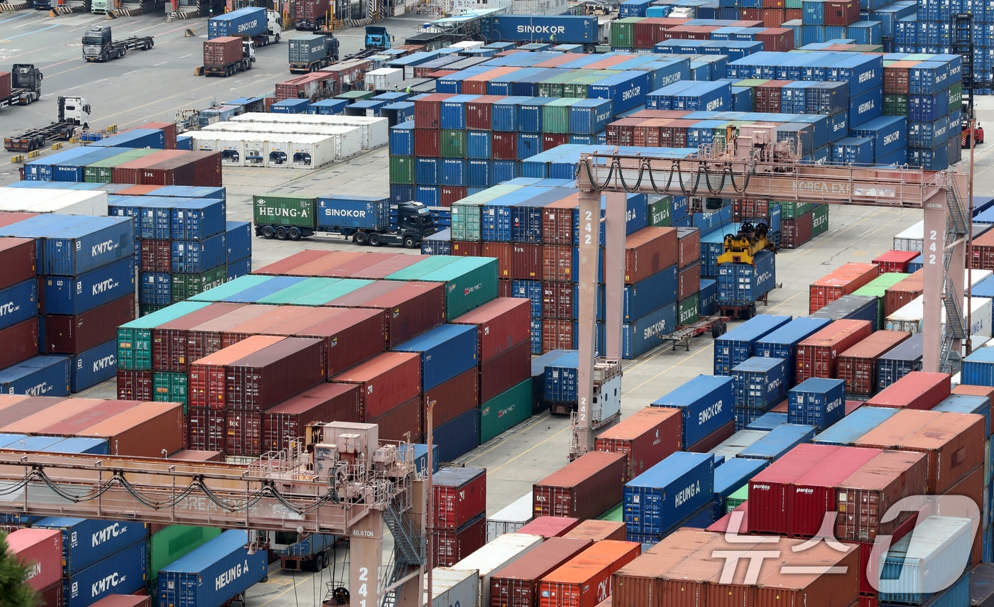 부산항 신선대 부두 야적장. &lt;자료사진&gt;  2025.8.11/뉴스1 ⓒ News1 윤일지 기자