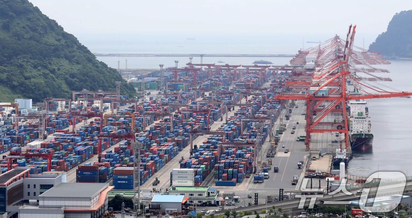  부산항 신선대부두 야적장. &lt;자료사진&gt; 2025.8.11/뉴스1 ⓒ News1 윤일지 기자