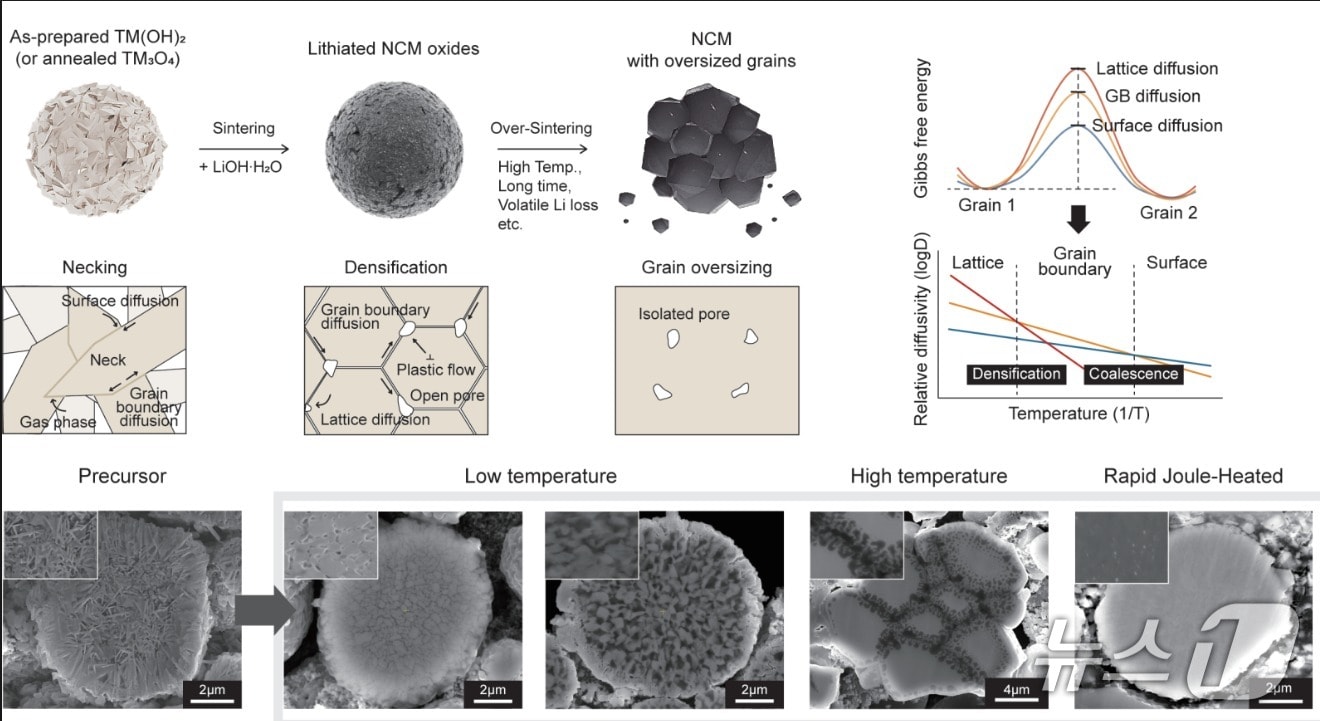 기존 소결과 급속 줄 가열 소결의 하이니켈 양극재 미세구조 변화 및 소결 동역학 모식도(한국연구재단 제공) /뉴스1