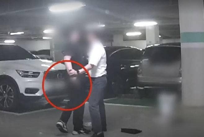 20대 아들이 주차 시비로 삼단봉과 가스 분사기를 꺼내 이웃 주민을 위협하자 아버지가 말리는 모습. (채널A 갈무리)