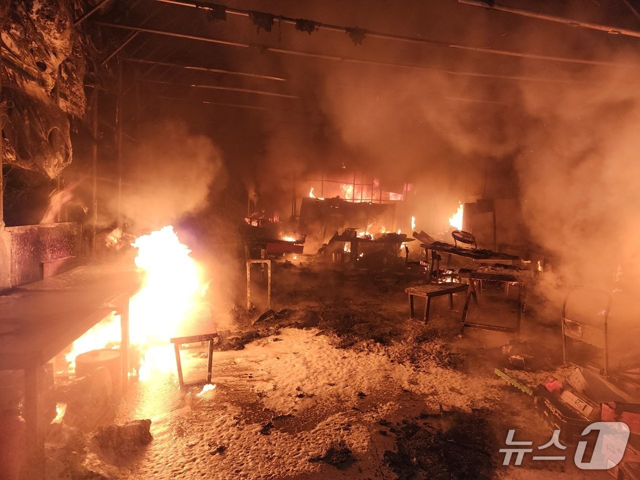 12일 오전 1시 17분쯤 충북 영동군 심천면 복숭아 선별·포장 작업장 비닐하우스에 불이 나 1시간여 만에 진화됐다. (영동소방서, 재판매 및 DB금지) /뉴스1