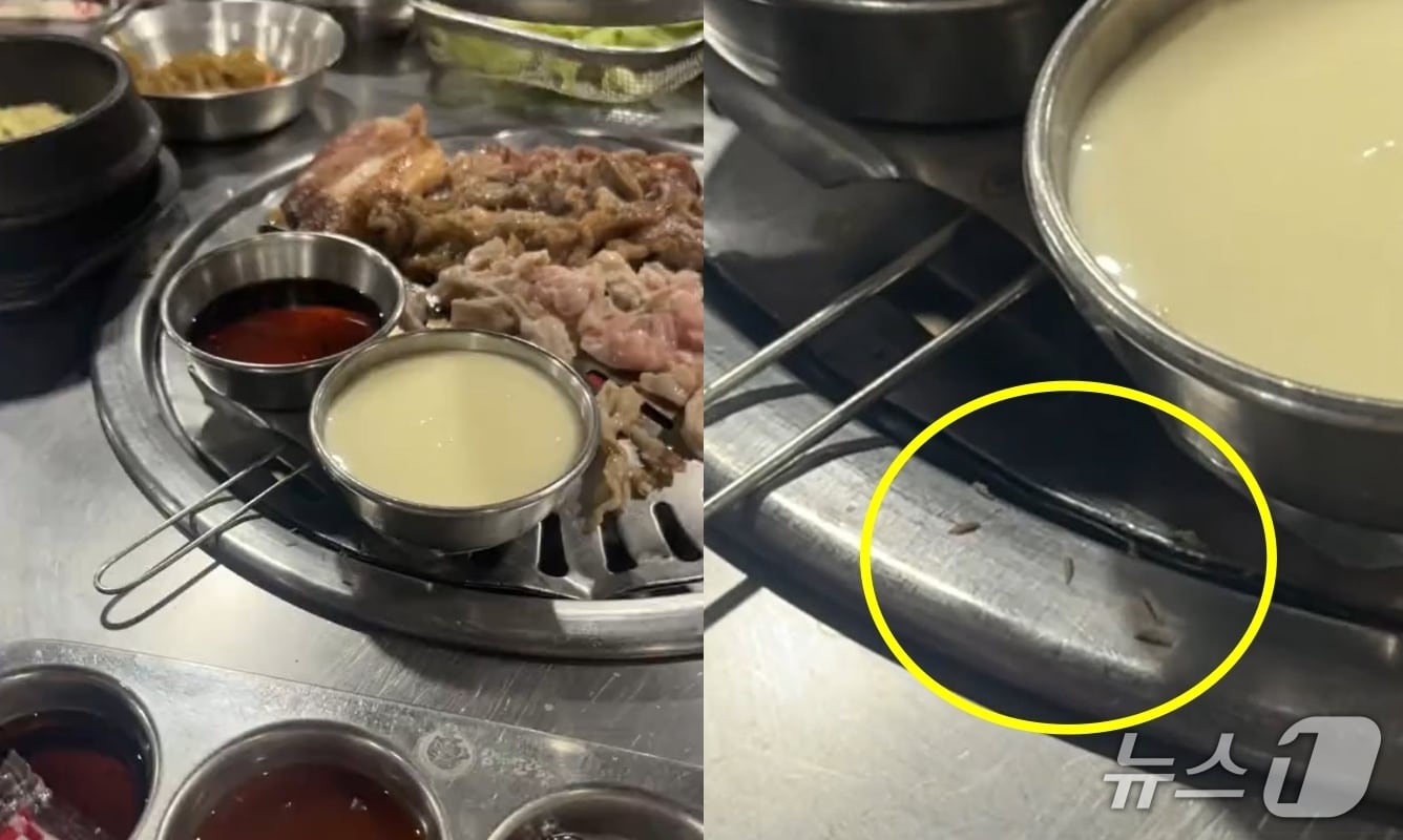 &#40;틱톡 갈무리&#41;