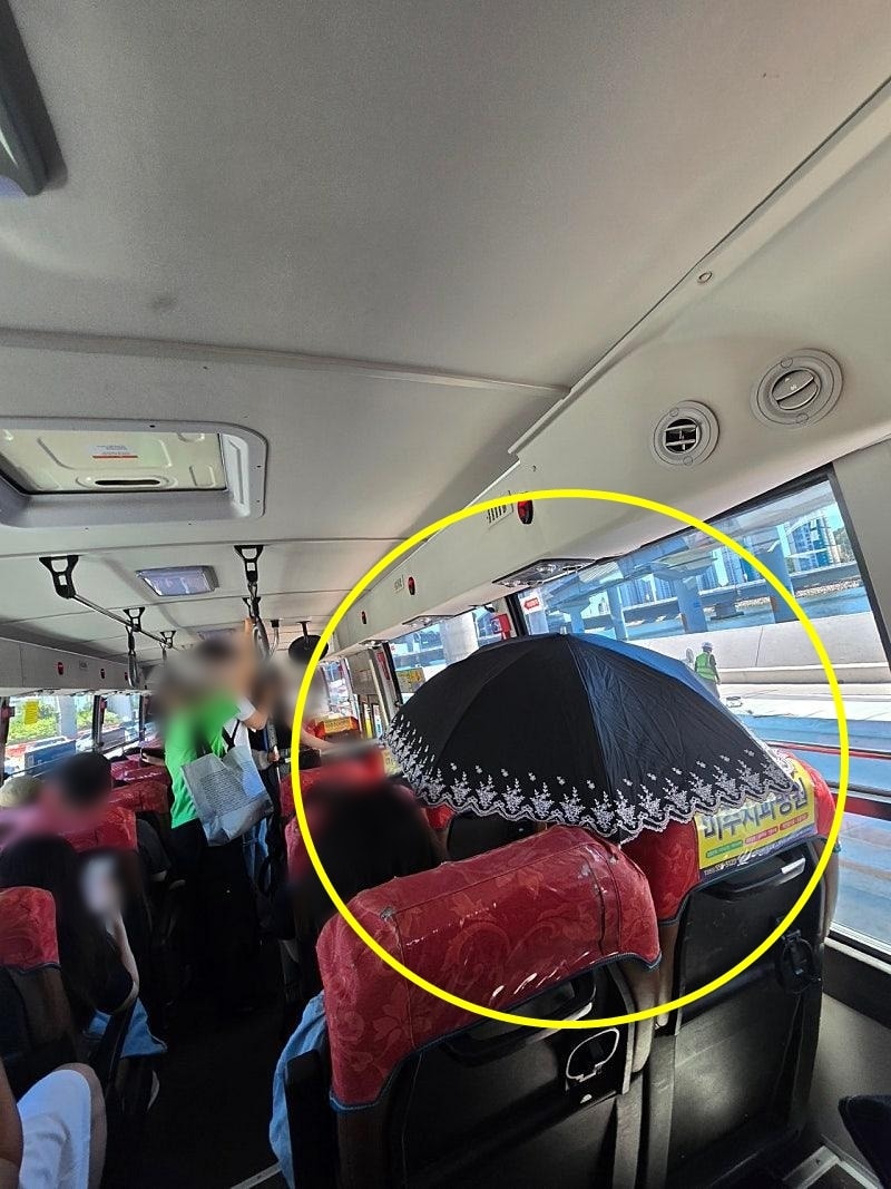 (보배드림 갈무리)