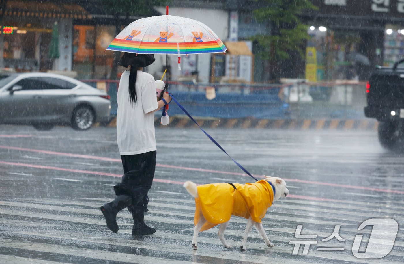 (뉴스1 자료사진). 2025.8.12/뉴스1 ⓒ News1 김태성 기자