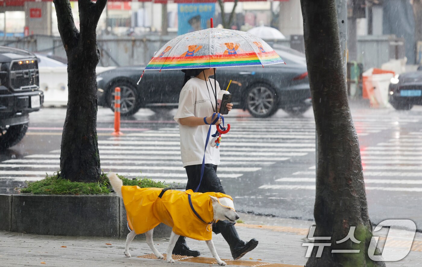 광주시 서구 상무지구에서 우산을 쓴 시민이 개와 길을 걷고 있다. 2025.8.12/뉴스1 ⓒ News1 김태성 기자