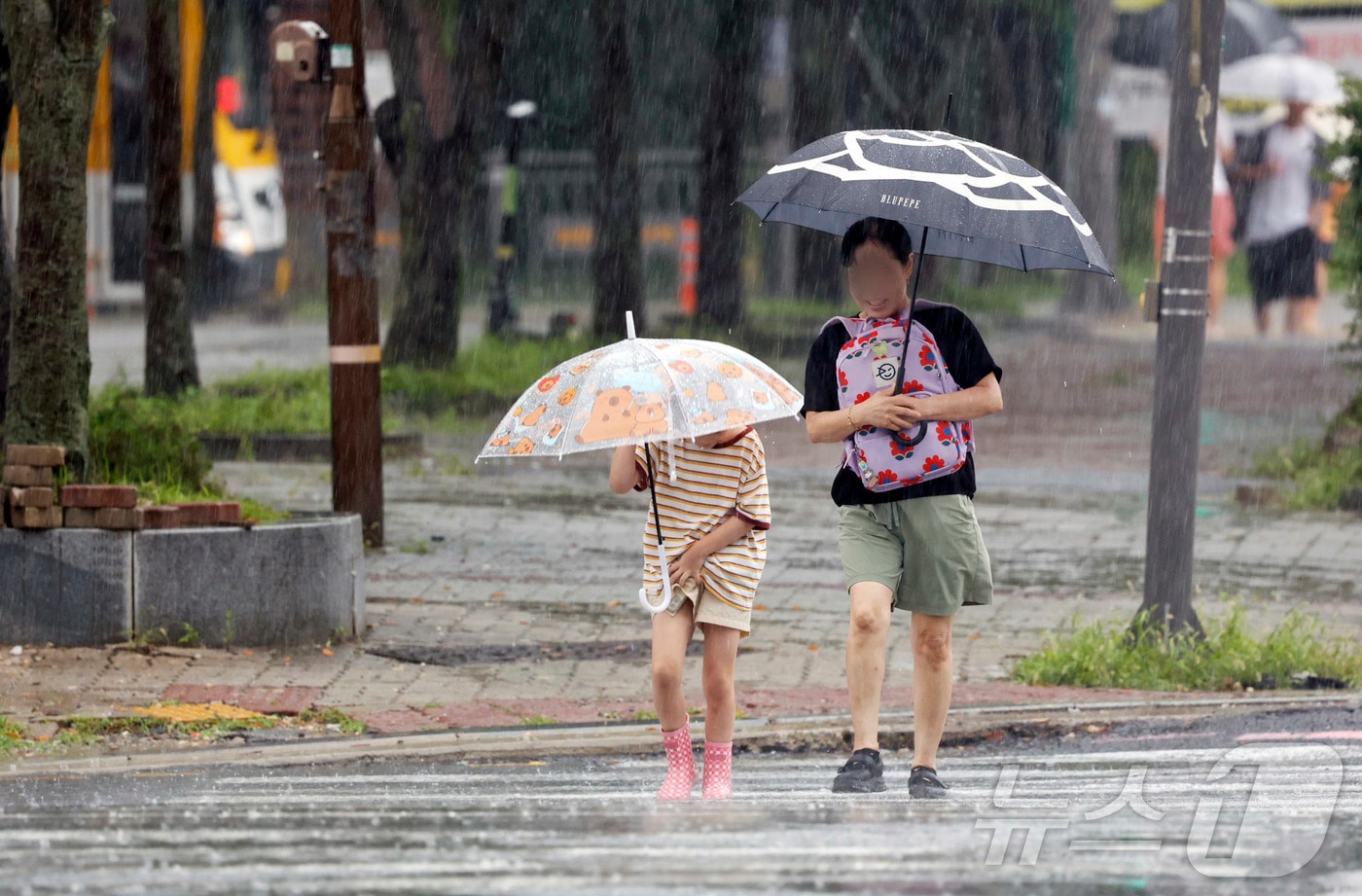 자료사진./뉴스1