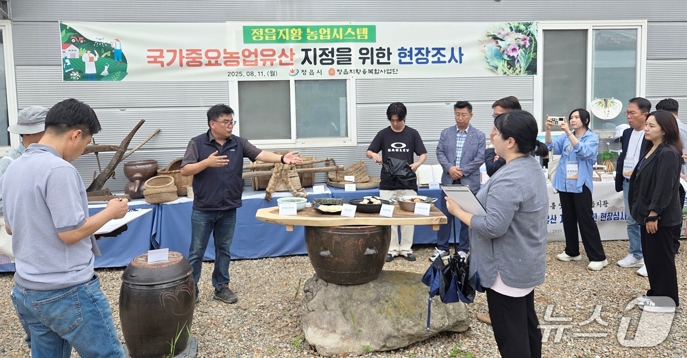 조선시대부터 임금께 진상되던 약재 정읍지황이 전북 정읍시 옹동면에서 국가중요농업유산 지정을 위한 현장 조사가 실시되고 있다.(정읍시제공. 재판매 및 DB금지)2025.8.12/뉴스1