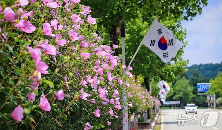 대전 무궁화 명소 (대전시 제공, 재판매 및 DB금지)/뉴스1