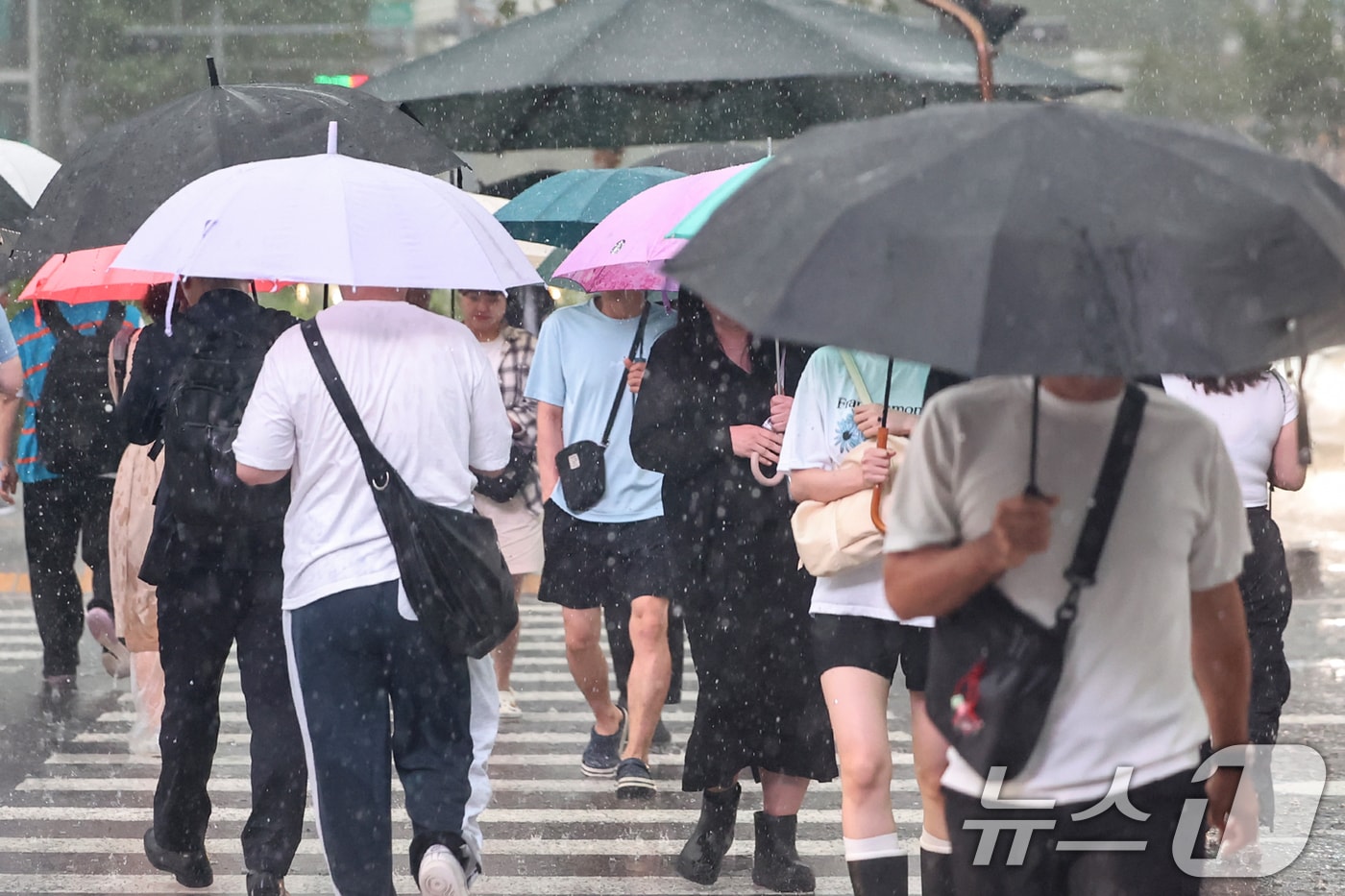 서울에 호우주의보가 내린 지난 13일 서울 종로구 광화문네거리에서 우산을 쓴 시민들이 출근길 발걸음을 재촉하고 있다. 2025.8.13/뉴스1 ⓒ News1 민경석 기자