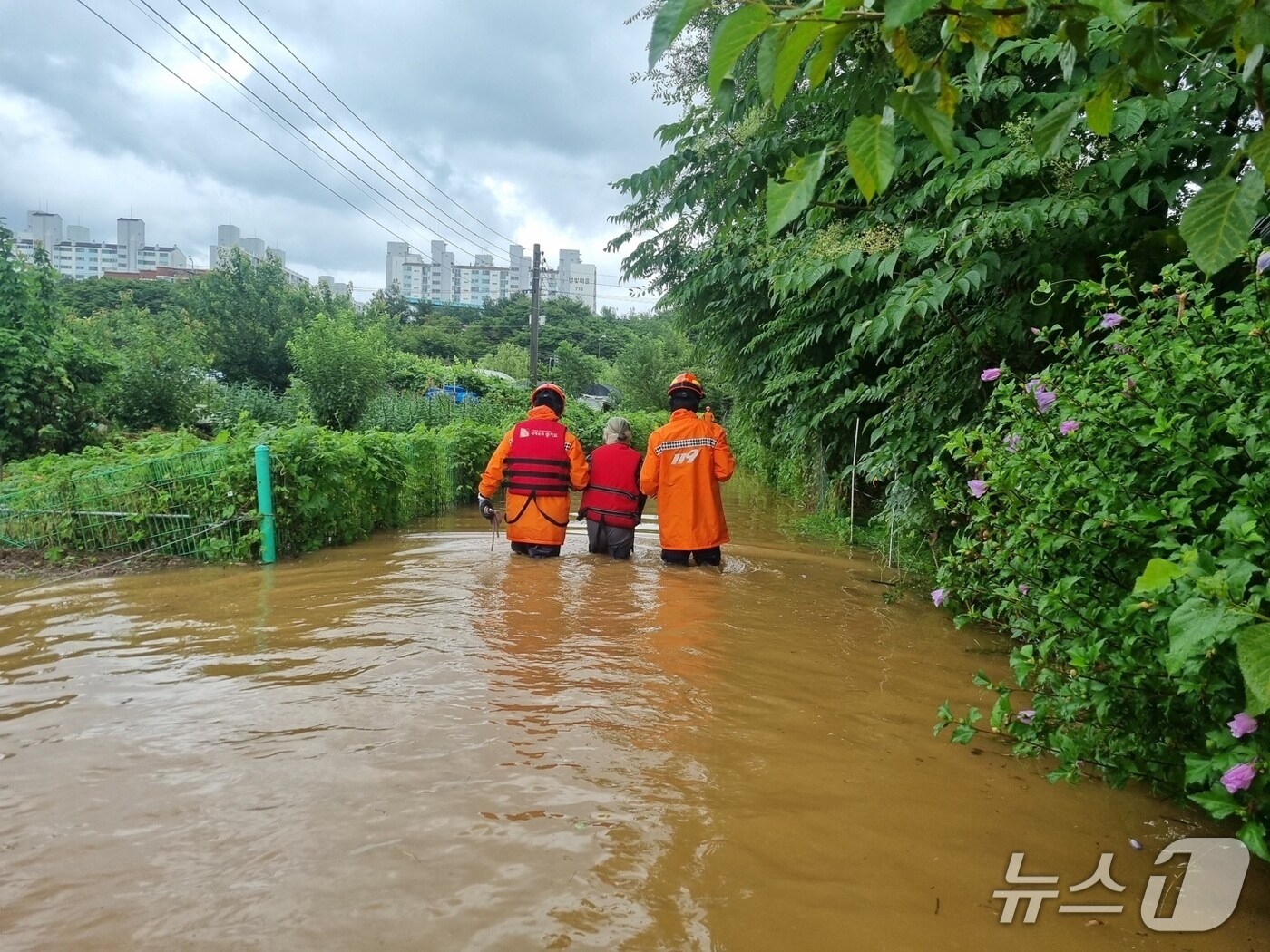 13일 집중호우로 고립된 시민들을 구조하는 소방대원들. (사진=경기도북부소방재난본부)