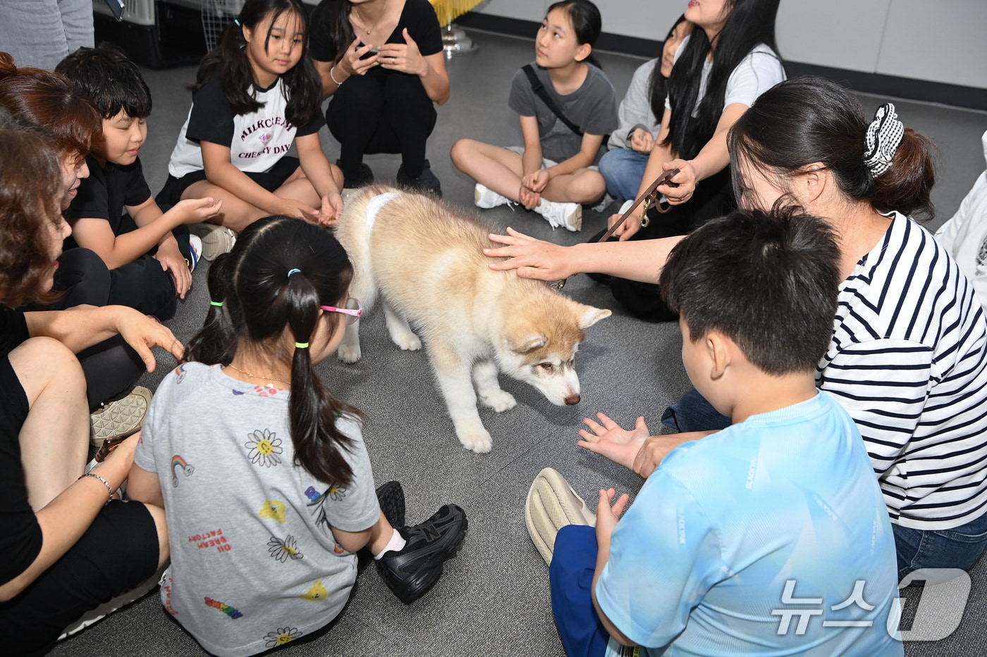 지난 12일 부산 연제구청 대회의실에서 아이들이 동물과 교감을 나누고 있는 모습. (연제구 제공. 재판매 및 DB 금지)