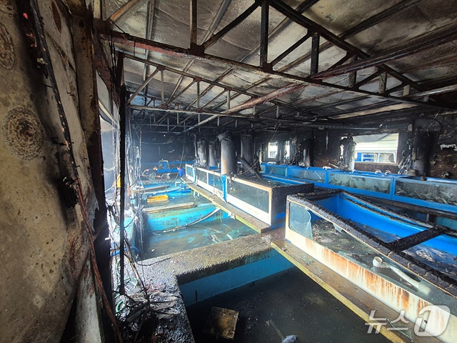  당진 송악읍 횟집 화재 현장. (당진소방서 제공, 재판매 및 DB금지) / 뉴스1