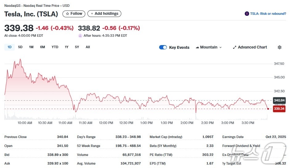 테슬라 일일 주가추이 - 야후 파이낸스 갈무리