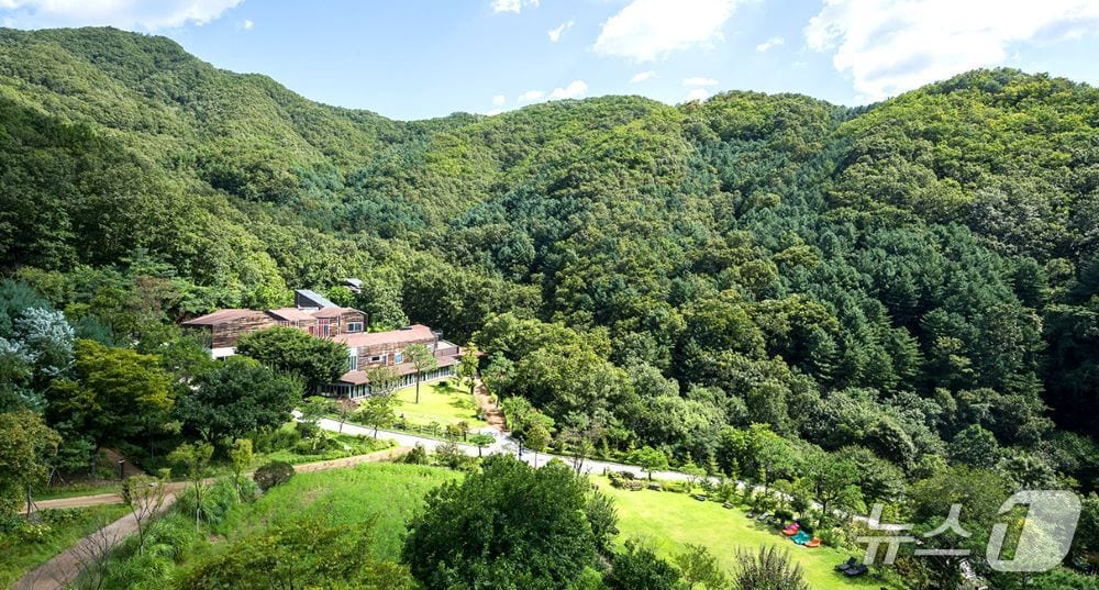 홍천 선마을 전경./뉴스1