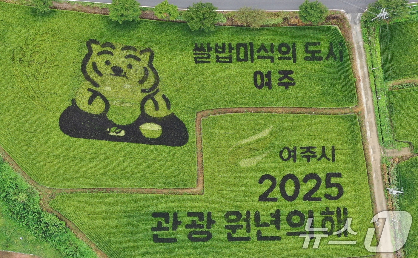 '쌀의 날'을 나흘 앞둔 지난 8월 14일 경기 여주시의 한 논에 유색벼를 활용한 논아트 그림이 그려져 있다. 2025.8.14/뉴스1 ⓒ News1 김영운 기자