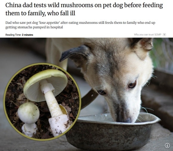 &#40;SCMP 갈무리&#41;