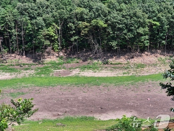 지난 12일 오후 강원 강릉시 성산면 오봉리 오봉저수지와 일대 하천의 바닥이 드러나 있는 모습. 2025.8.12/뉴스1 ⓒ News1 윤왕근 기자