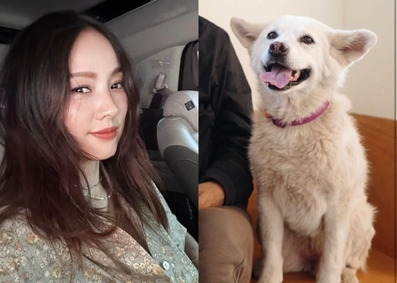 사진=이효리 인스타그램