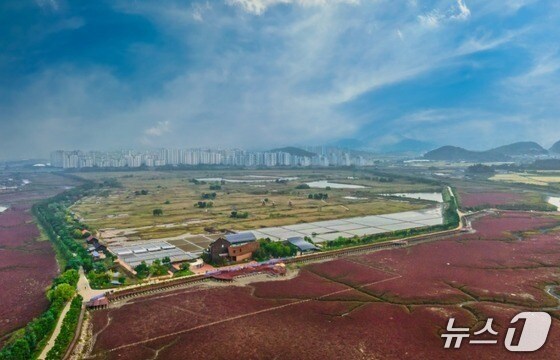 인천시 남동구 소래습지생태공원.(인천시 제공)/뉴스1