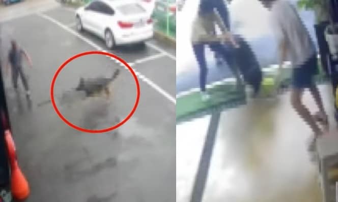 (JTBC '사건반장' 갈무리)