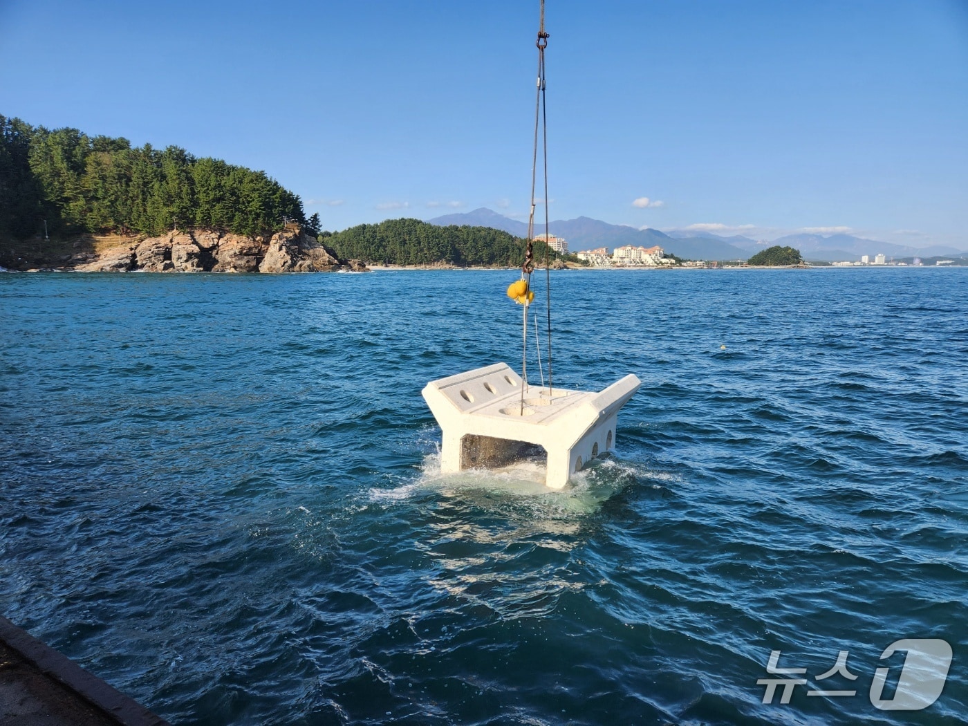 문어 어초.(양양군 제공, 재판매 및 DB 금지) 2025.8.18/뉴스1