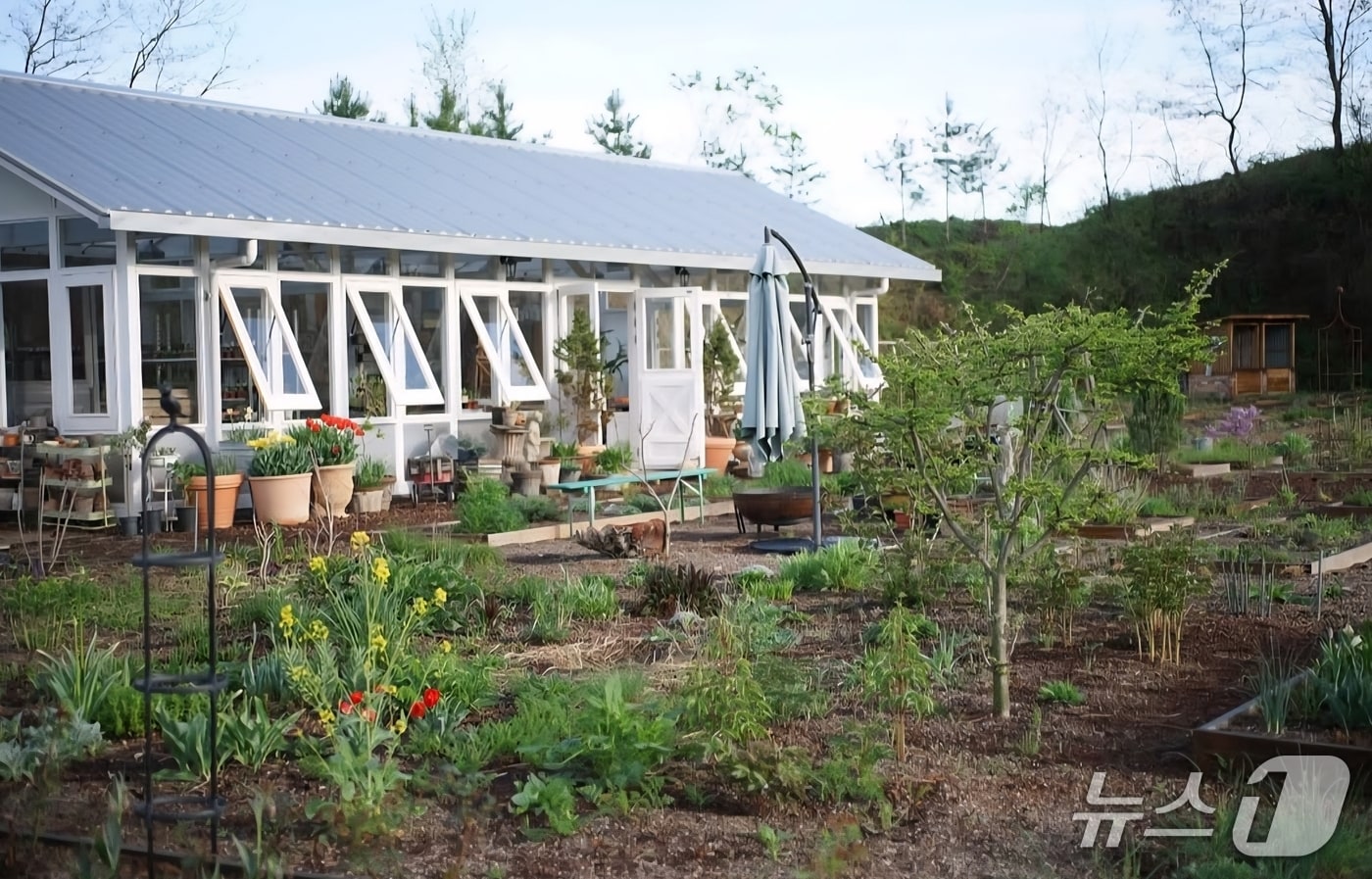 충북 괴산 '감각을물들이다' 농장 전경/뉴스1