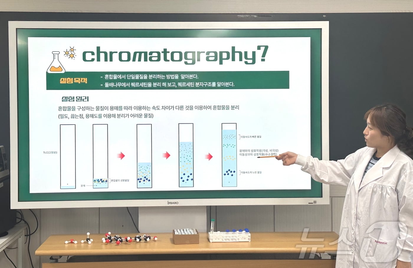 한국수목원정원관리원은 오는 9~11월 국립백두대간수목원에서 중·고교생을 대상으로 실험교육 프로그램인 '백두대간 숲싹 실험실'을 운영한다.(국립백두대간수목원 제공,재판매 및 DB 금지) ⓒ News1 김대벽기자