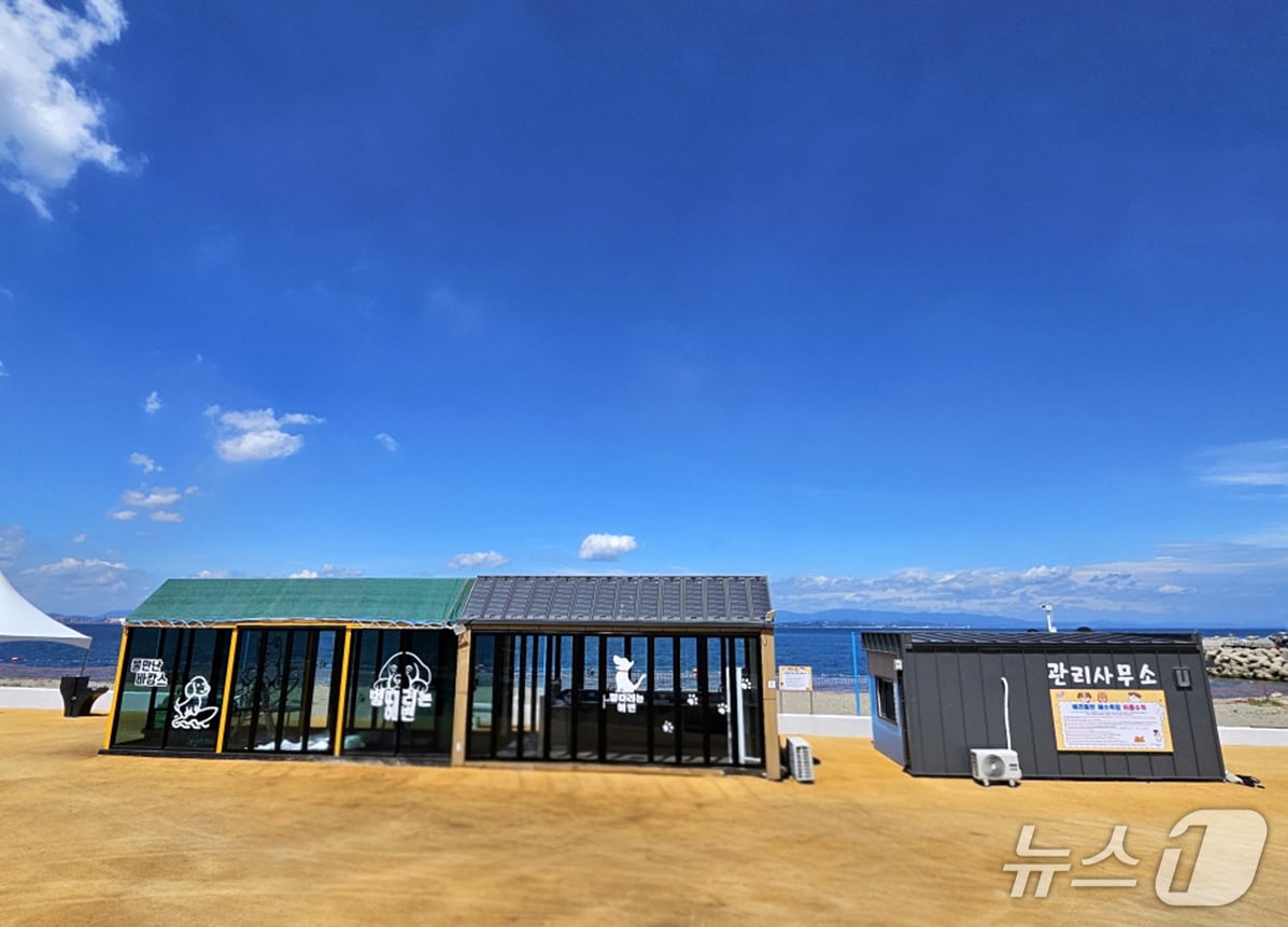 포항시 남구 동해면 흥환리에 개장한 애완견동반해수욕장.(포항시 제공, 재판매 및 DB금자) 2025.8.18/뉴스1 