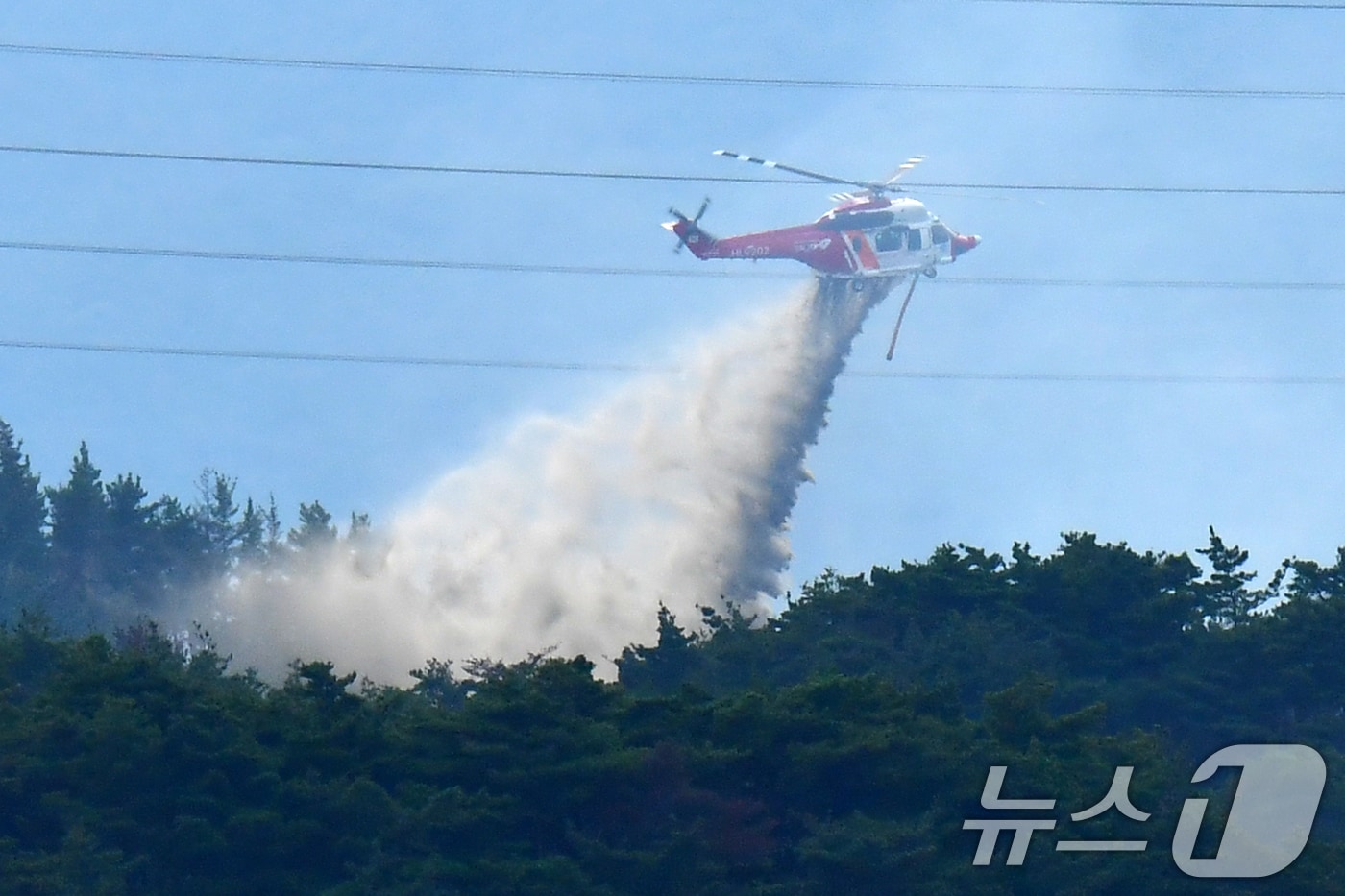 18일 오후 4시25분쯤 경북 포항시 북구 흥해읍 성곡리의 야산에서 불이 나 산림청과 경북도소방본부가 헬기 3대를 투입, 진화작업을 벌였다. ⓒ News1 최창호 기자