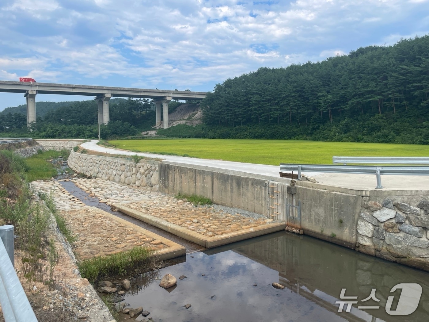 강원 양양 여운포천 전경.(양양군 제공, 재판매 및 DB 금지) 2025.8.19/뉴스1