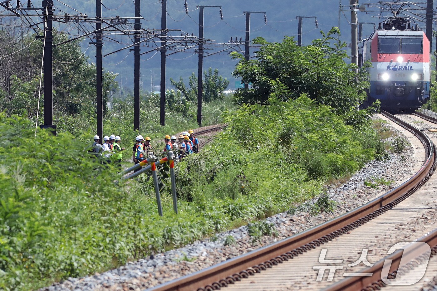 19일 오전 10시 52분쯤 경북 청도군 화양읍 삼신리에서 발생한 무궁화호 사고 현장  2025.8.19/뉴스1 ⓒ News1 공정식 기자