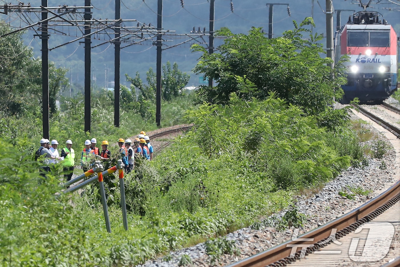 지난 19일 경북 청도군 화양읍 삼신리 경부선 철로에서 무궁화호 열차가 작업자 7명을 치어 2명이 숨지고 5명이 중경상을 입었다. 2025.8.19/뉴스1 ⓒ News1 공정식 기자