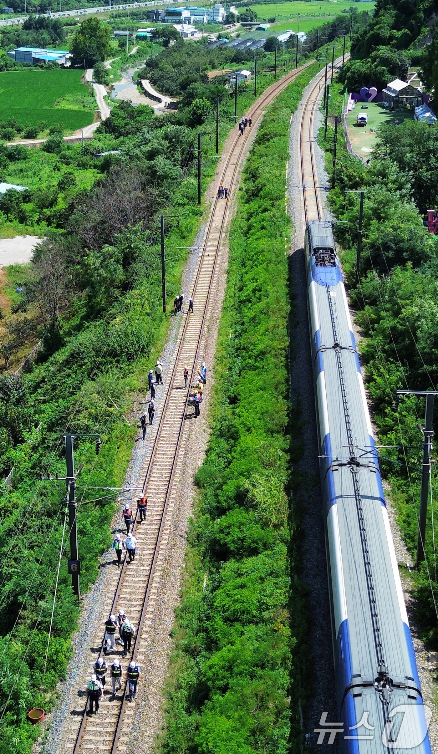 19일 오전 10시 52분쯤 경북 청도군 화양읍 삼신리 경부선 철로에서 무궁화 열차가 근로자 7명을 치는 사고가 발생한 가운데 경찰과 소방, 코레일 등 관계자들이 사고 현장을 조사하고 있다. 2025.8.19/뉴스1 ⓒ News1 공정식 기자