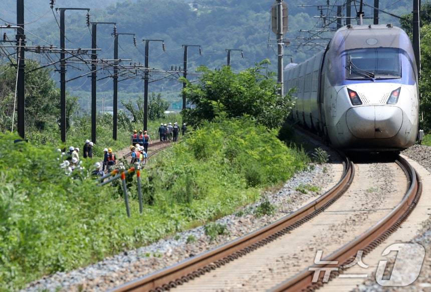 19일 오전 10시 50분쯤 경북 청도군 화양읍 삼신리 청도소싸움 경기장 인근 경부선 철로에서 마산으로 향하던 무궁화 열차가 선로에서 작업하던 근로자 7명을 치는 사고가 발생했다. 2025.8.19/뉴스1 ⓒ News1 공정식 기자