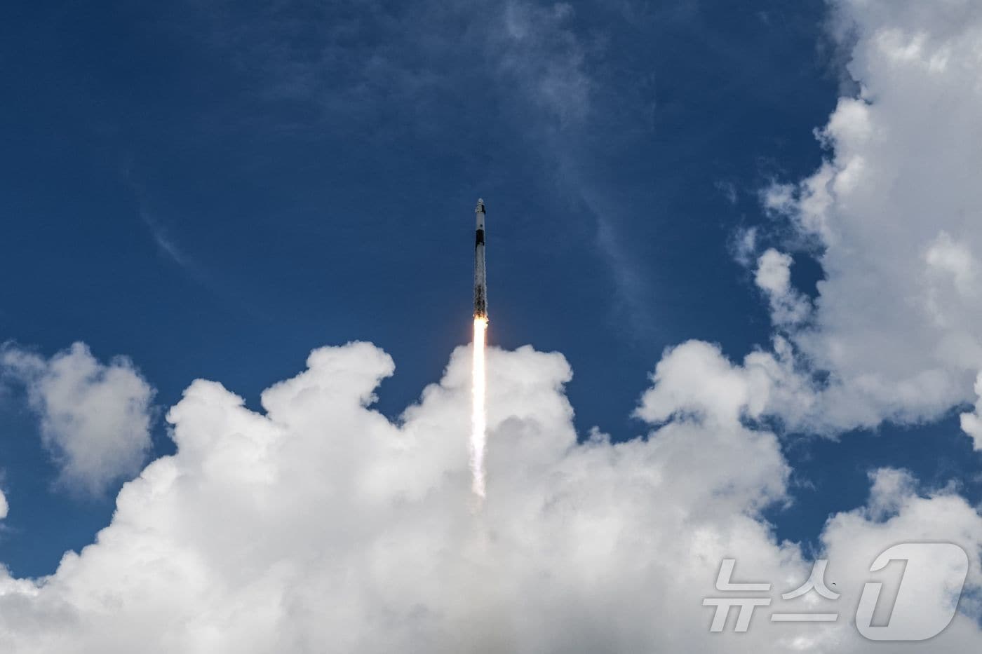 2025년 8월 1일 미국 플로리다주 케네디 우주센터 39A 발사 복합단지에서 크루-11 미션을 수행하는 크루 드래건 캡슐 엔데버를 실은 스페이스X 팰컨9 로켓이 발사되고 있다. 2025.8.1 ⓒ AFP=뉴스1 ⓒ News1 강민경 기자