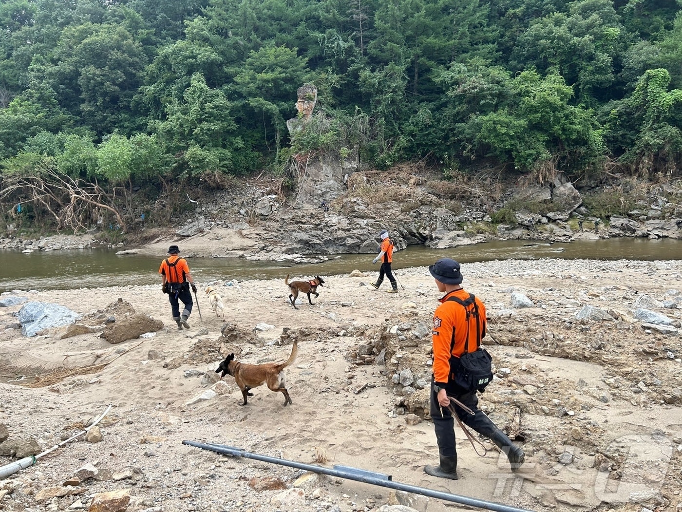 2일 경기 가평군에서 소방 당국이 수해 실종자 수색 작업을 하고 있다.(경기도북부소방재난본부 제공, 재판매 및 DB 금지) 2025.8.2/뉴스1 ⓒ News1 양희문 기자