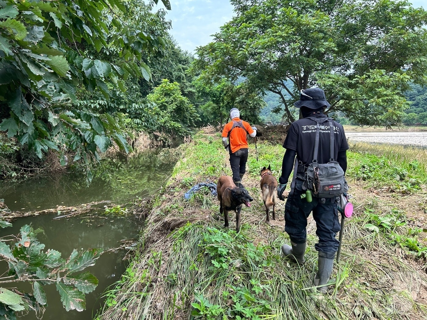 2일 경기 가평군에서 소방 당국이 수해 실종자 수색 작업을 하고 있다.(경기도북부소방재난본부 제공, 재판매 및 DB 금지) 2025.8.2/뉴스1