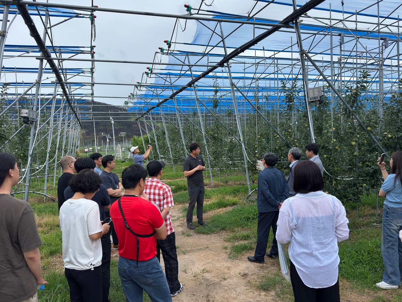 농촌진흥청 사과연구센터 현장기술지원단 컨설팅 모습 &#40;농촌진흥청 제공&#41; 2025.08.03 /뉴스1