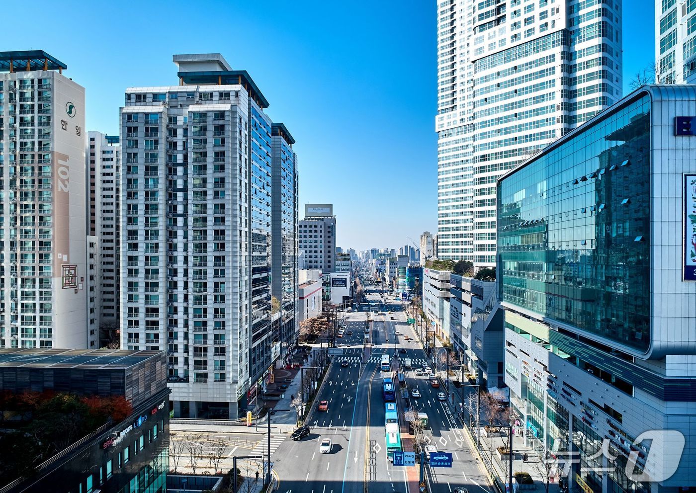 (서울 중랑구 제공)